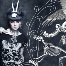 A is for Arsenic - Taxidermia Campaign, Amelia Arsenic